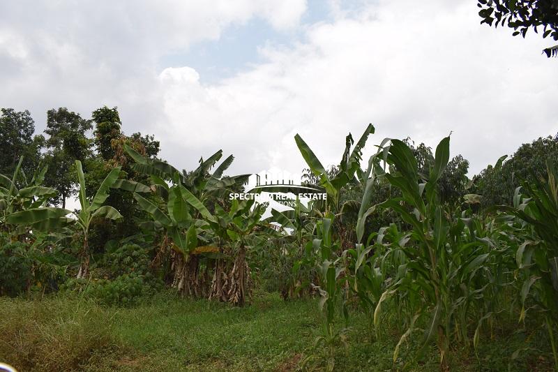 land for sale in Kungu Kampala Uganda