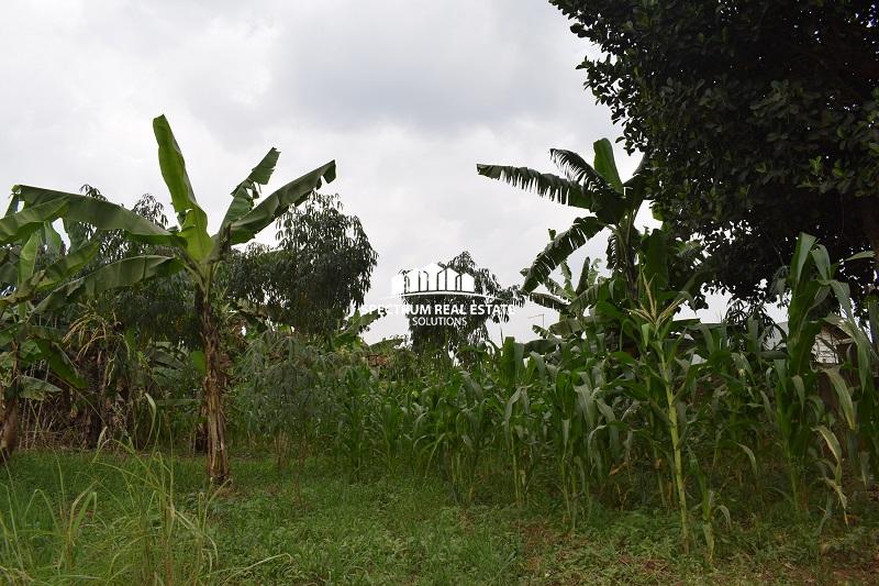 land for sale in Kungu Kampala Uganda