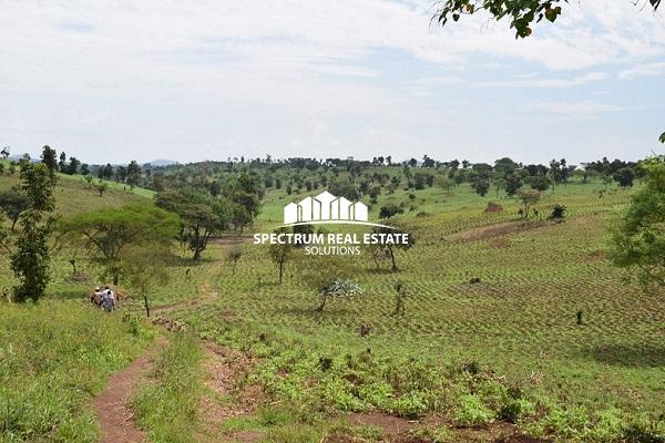 Land for sale in Mubende district