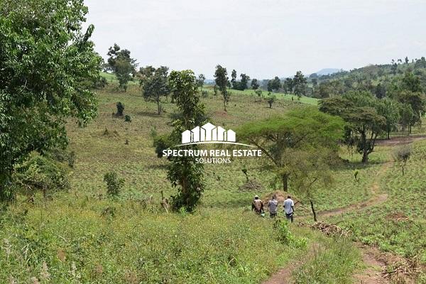 Land for sale in Mubende district