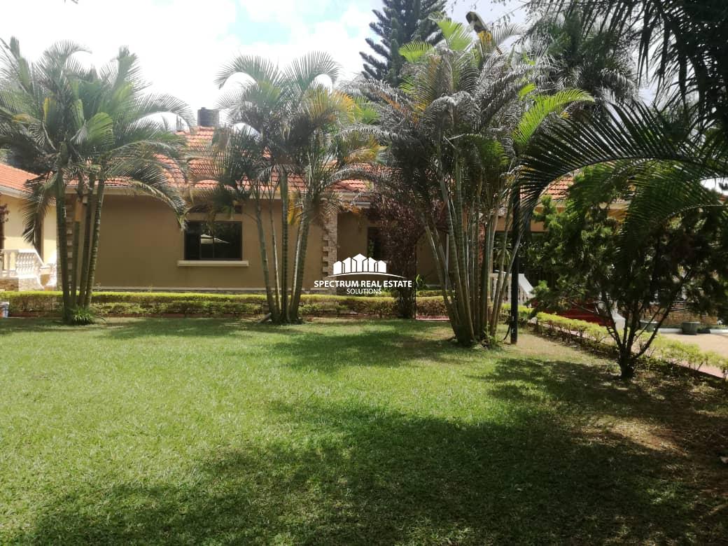 Furnished house for rent in Naguru Kampala