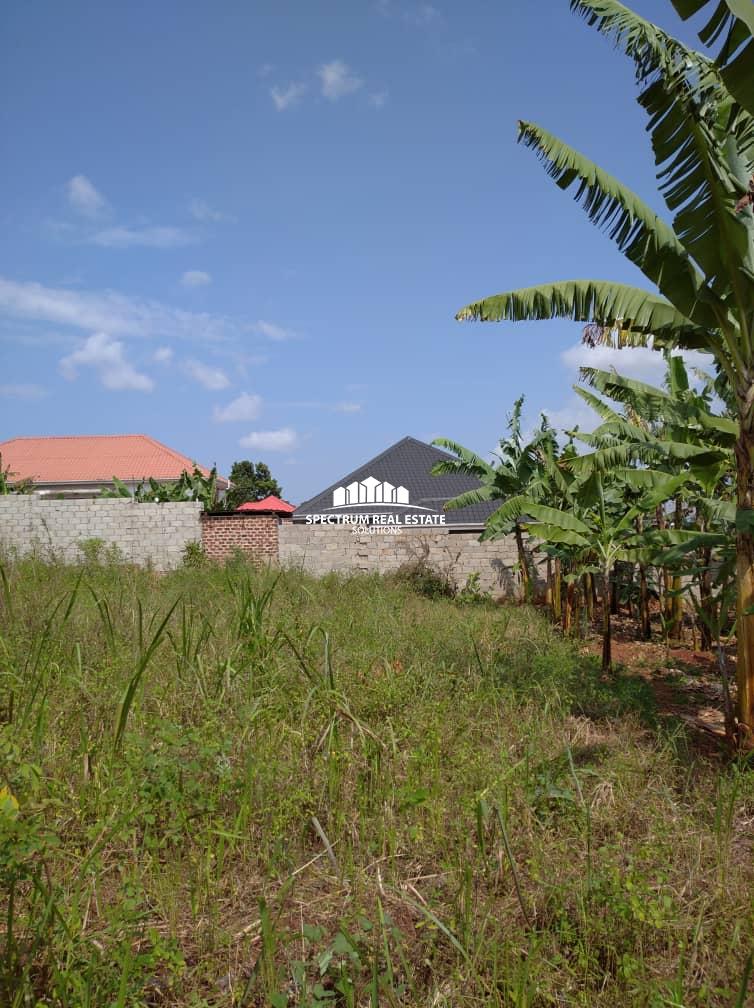 Land for sale at seguku Katale