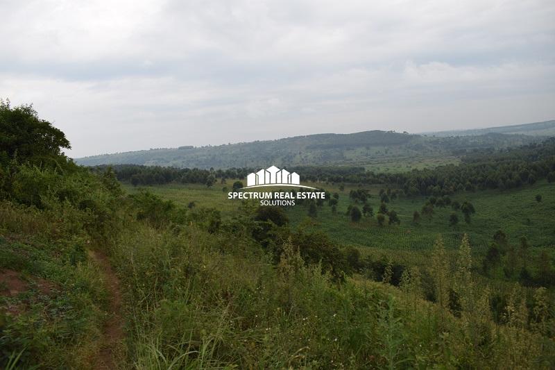 Land for sale in Kassanda Mityana district