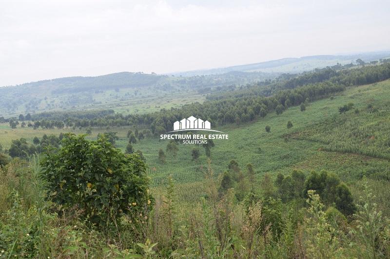 Land for sale in Kassanda Mityana district
