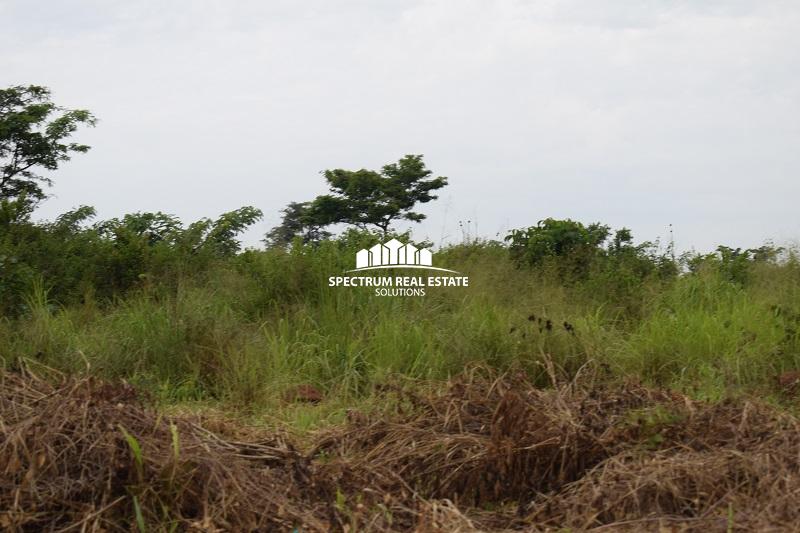 Land for sale in Wakyato Nakaseke District