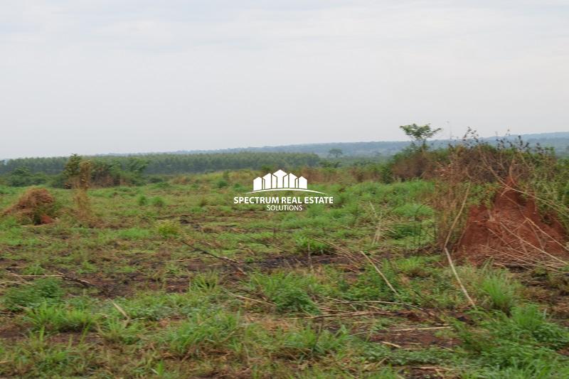 Land for sale in Wakyato Nakaseke District