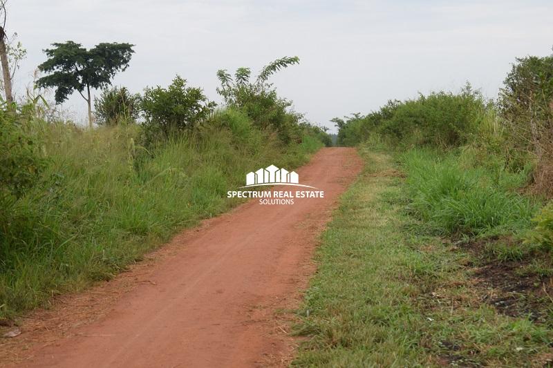 Land for sale in Wakyato Nakaseke District