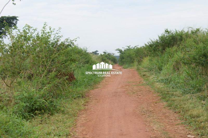 Land for sale in Wakyato Nakaseke District