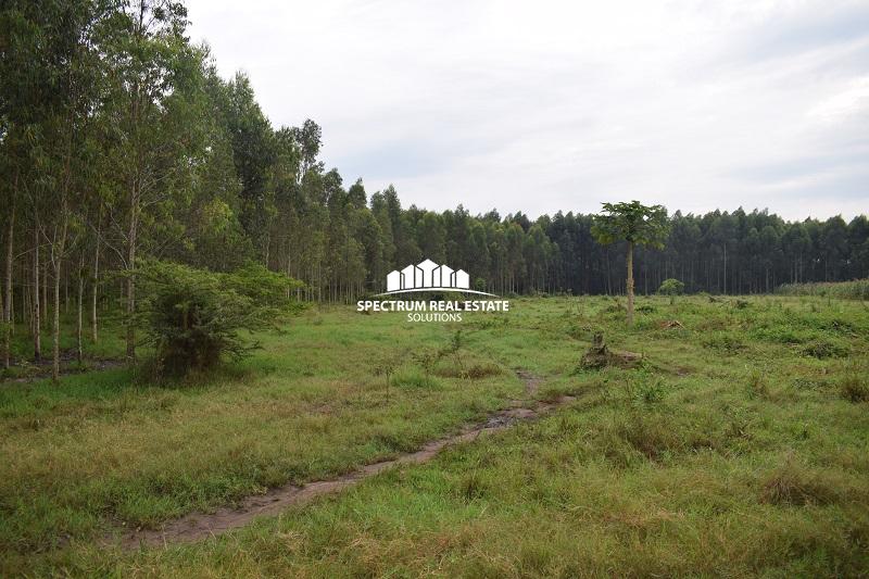 Land for sale in Myaanzi Mityana