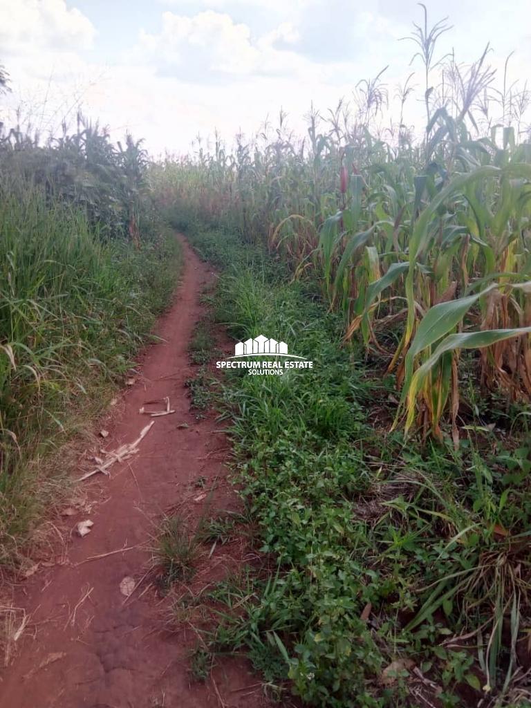 LAND FOR SALE IN KIBOGA Spectrum Real Estate Solutions