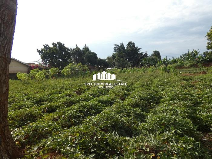 Land for sale in Kiwatule Kampala