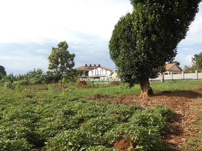 Land for sale in Kiwatule