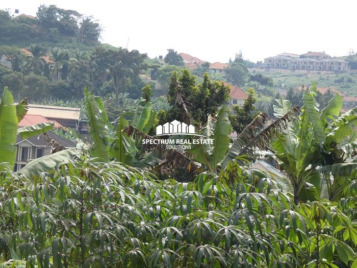 2 Acres land for sale in Lubowa Kampala