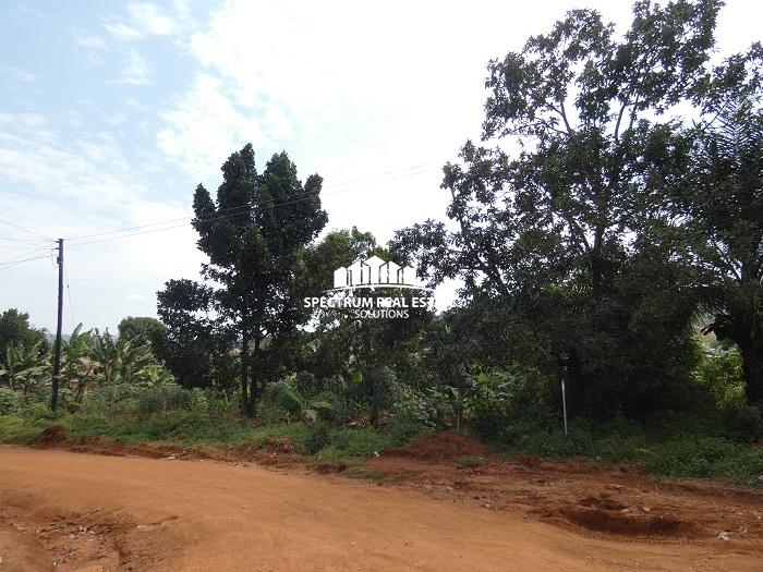 2 Acres land for sale in Lubowa Kampala