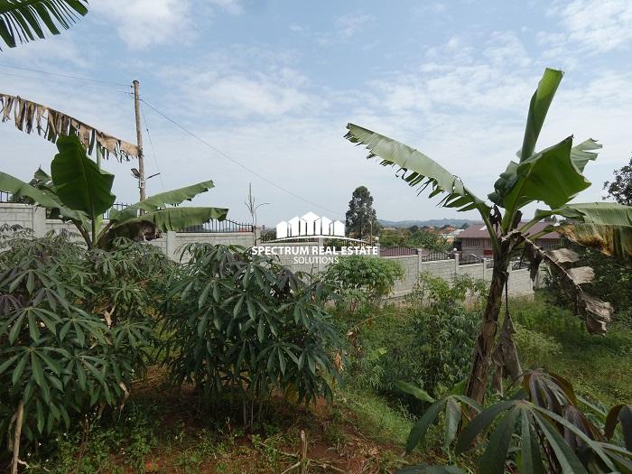 2 Acres land for sale in Lubowa Kampala