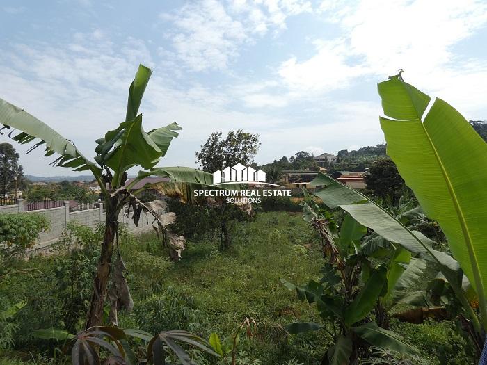 2 Acres land for sale in Lubowa Kampala