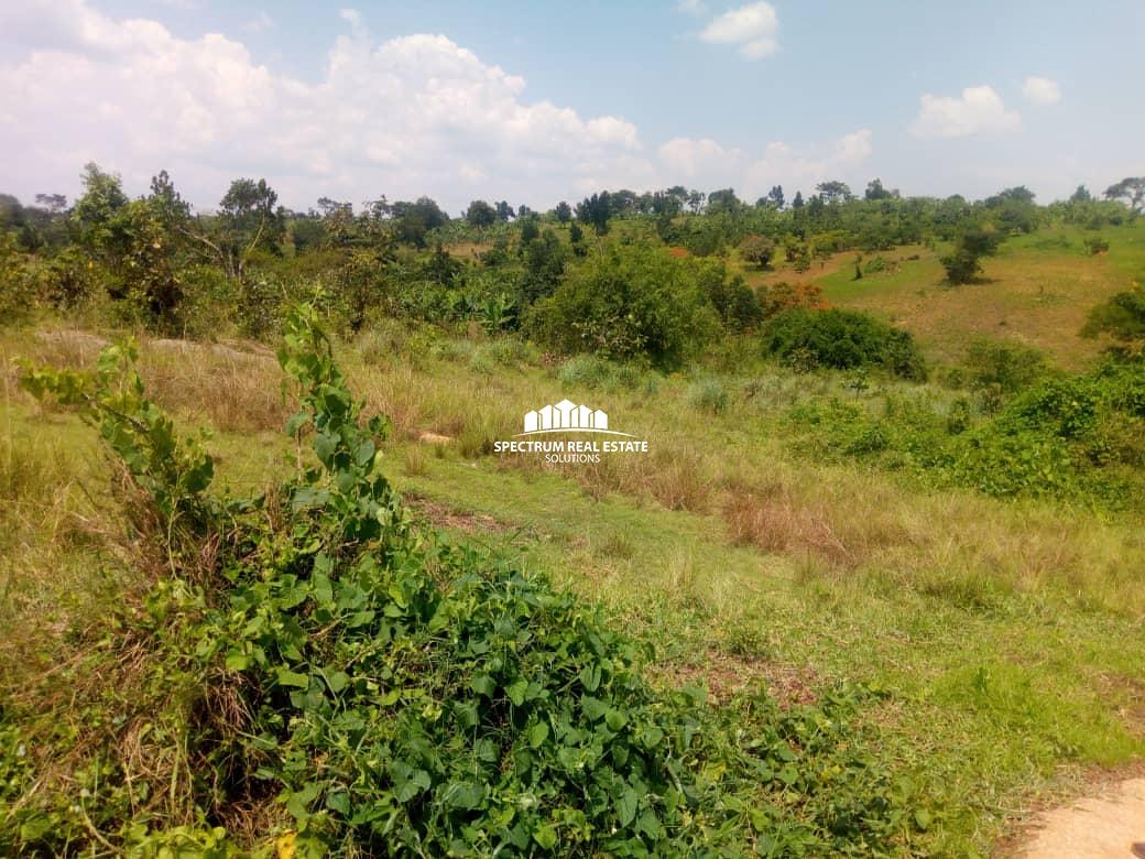 70 Acres land for sale in Kassanda district