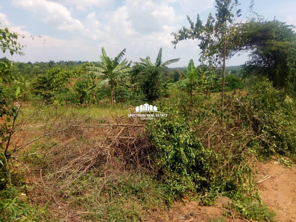 70 Acres land for sale in Kassanda district