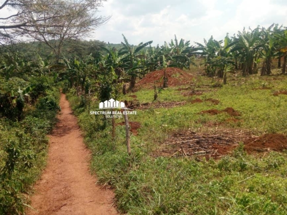 70 Acres land for sale in Kassanda district