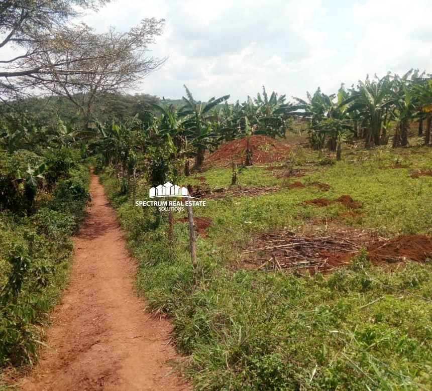 70 Acres land for sale in Kassanda district