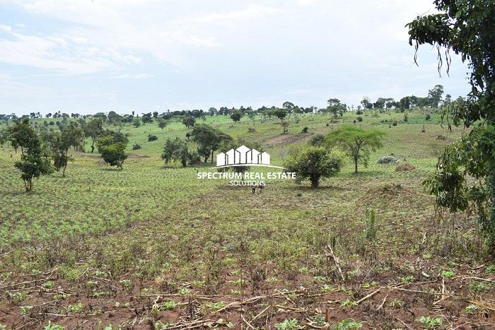 Land for sale in Mubende district