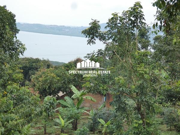 Land for sale in Kigo Serena