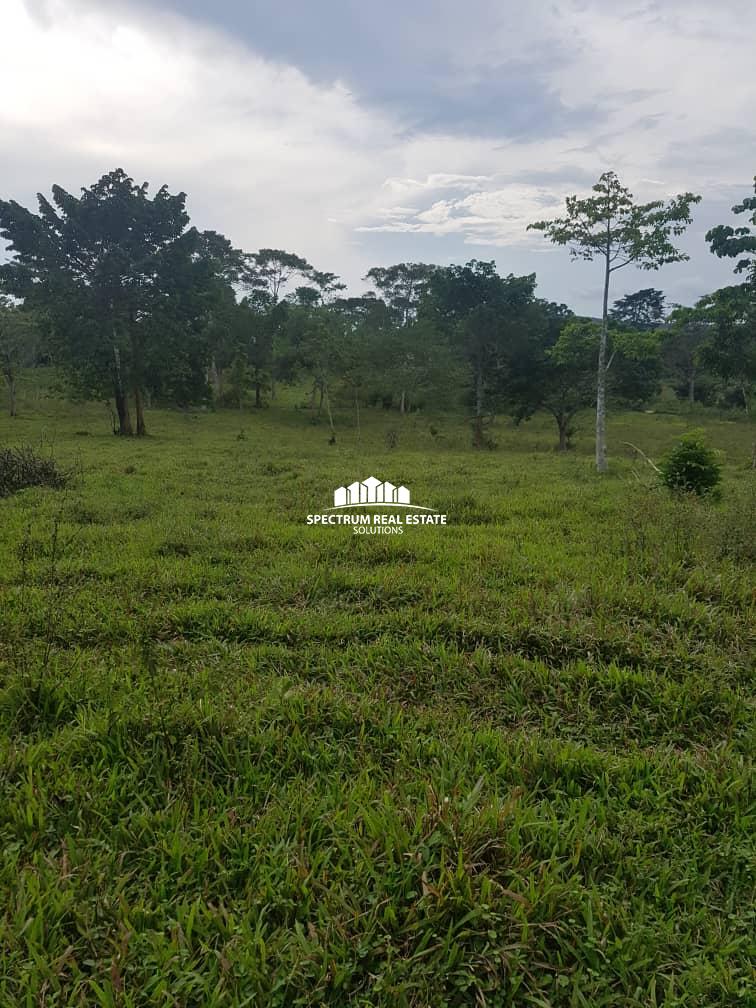Land for sale in Katosi Mukono