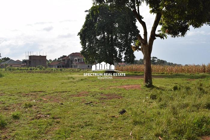 land for sale in Kigo Serena Kampala