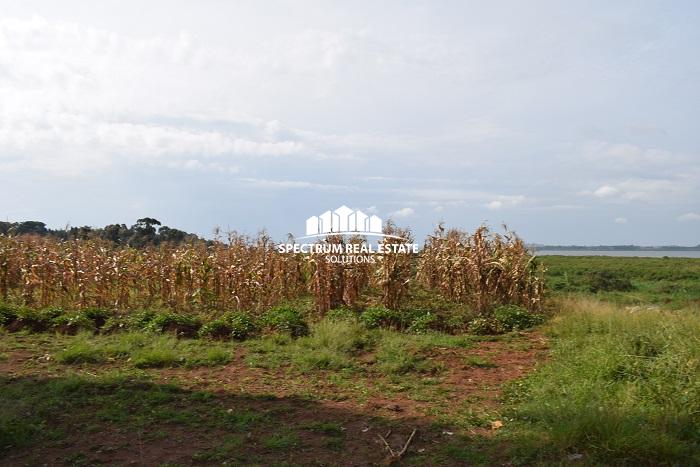 land for sale in Kigo Serena Kampala