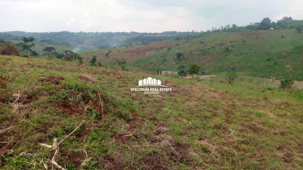 Land for sale in Mityana district