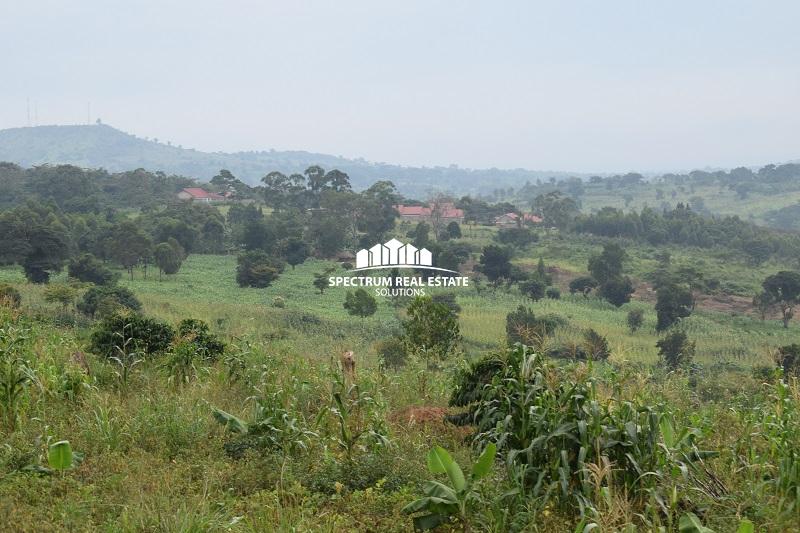 Land for sale in Nakaseke District
