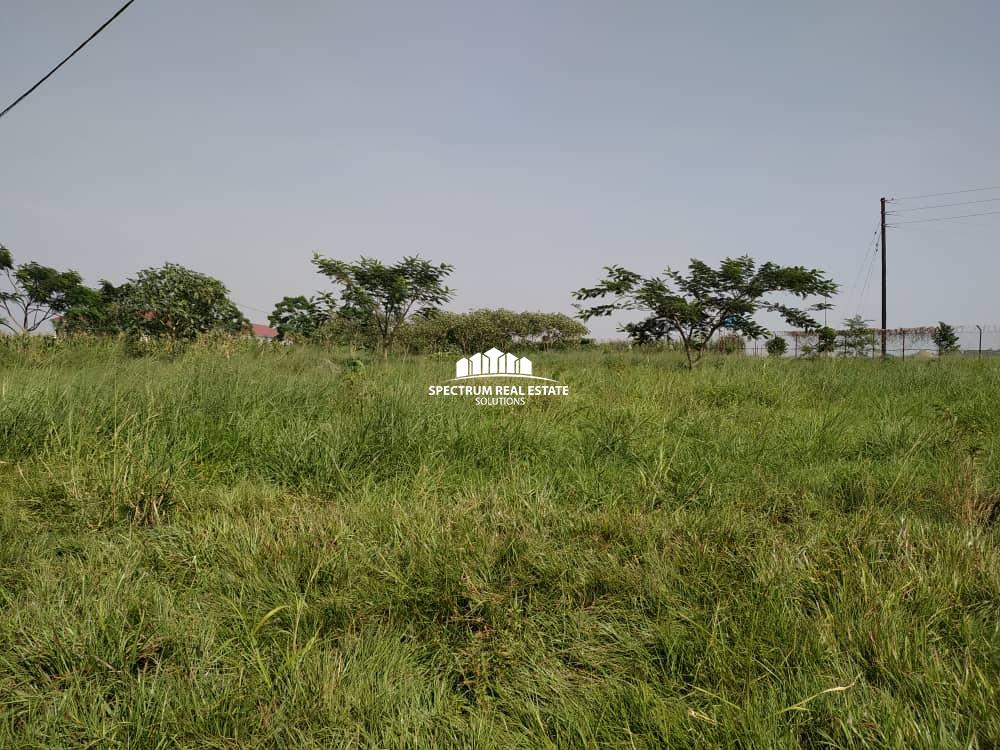 Land for sale in Njeru Jinja