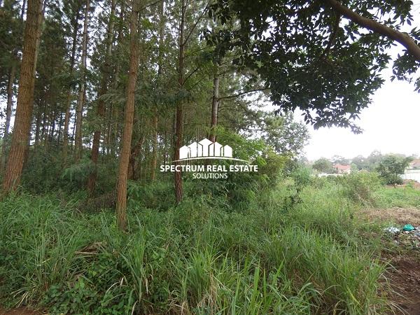 Land for sale in Nsasa Kira Municipality