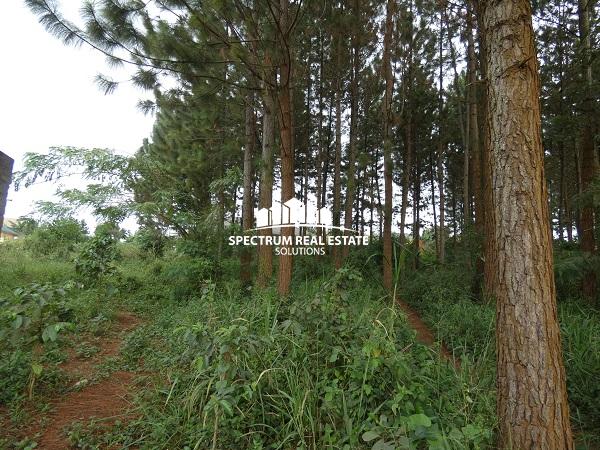 Land for sale in Nsasa Kira Municipality