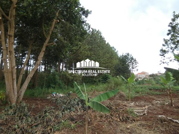 Land for sale in Nsasa Kira Municipality