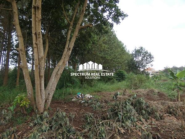 Land for sale in Nsasa Kira Municipality