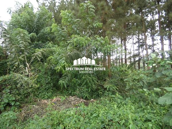 Land for sale in Nsasa Kira Municipality