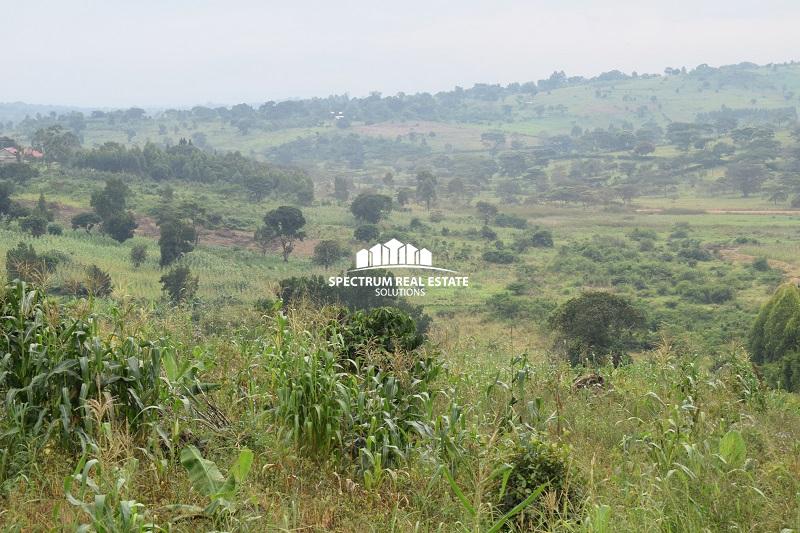 land for sale in Buikwe Uganda