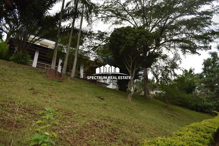 House for rent in Kololo Kampala