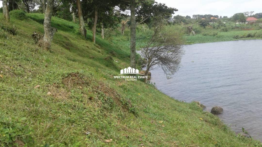 2 Acres land for sale in Bugiri Entebbe road