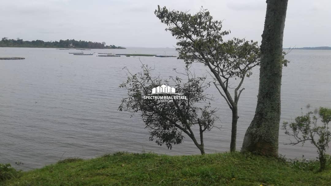 2 Acres land for sale in Bugiri Entebbe road