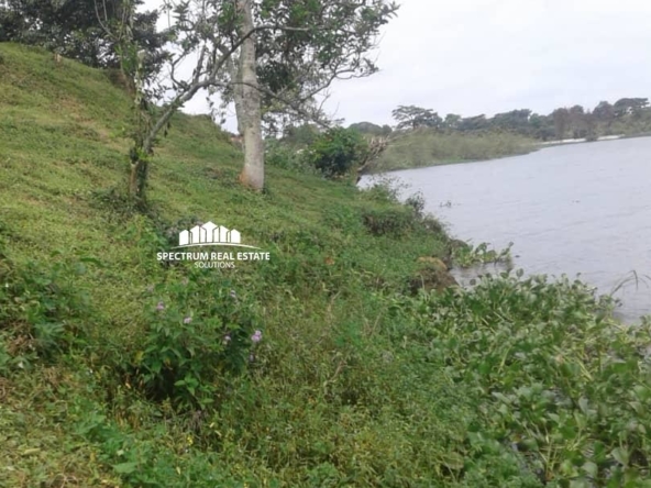 2 Acres land for sale in Bugiri Entebbe road