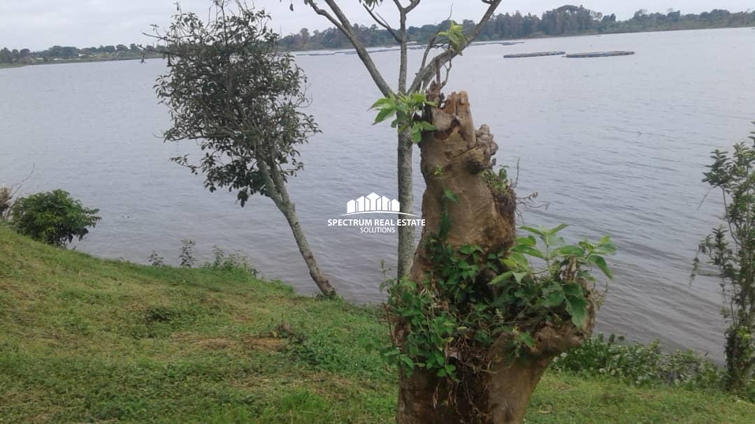 2 Acres land for sale in Bugiri Entebbe road