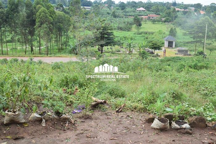 land for sale in Gayaza Kampala