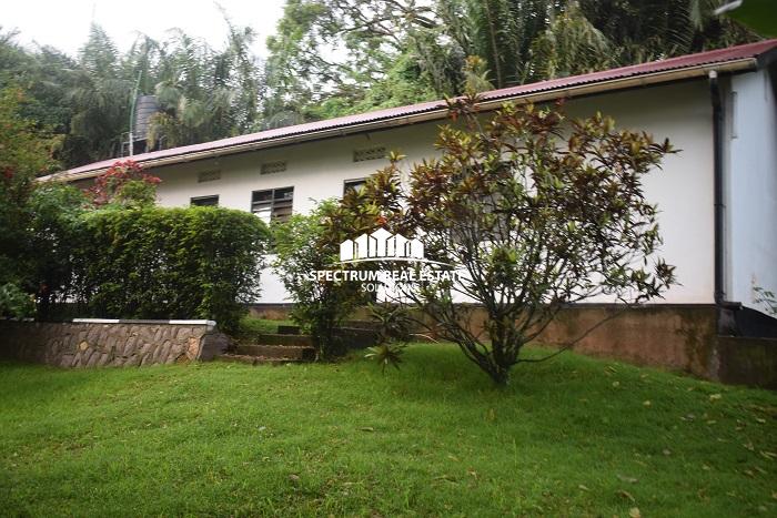colonial house for rent in Kololo Kampala