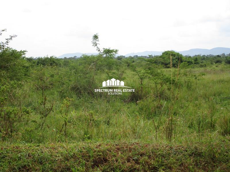 Land for sale in Bukomero Kiboga