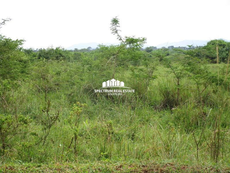 Land for sale in Bukomero Kiboga