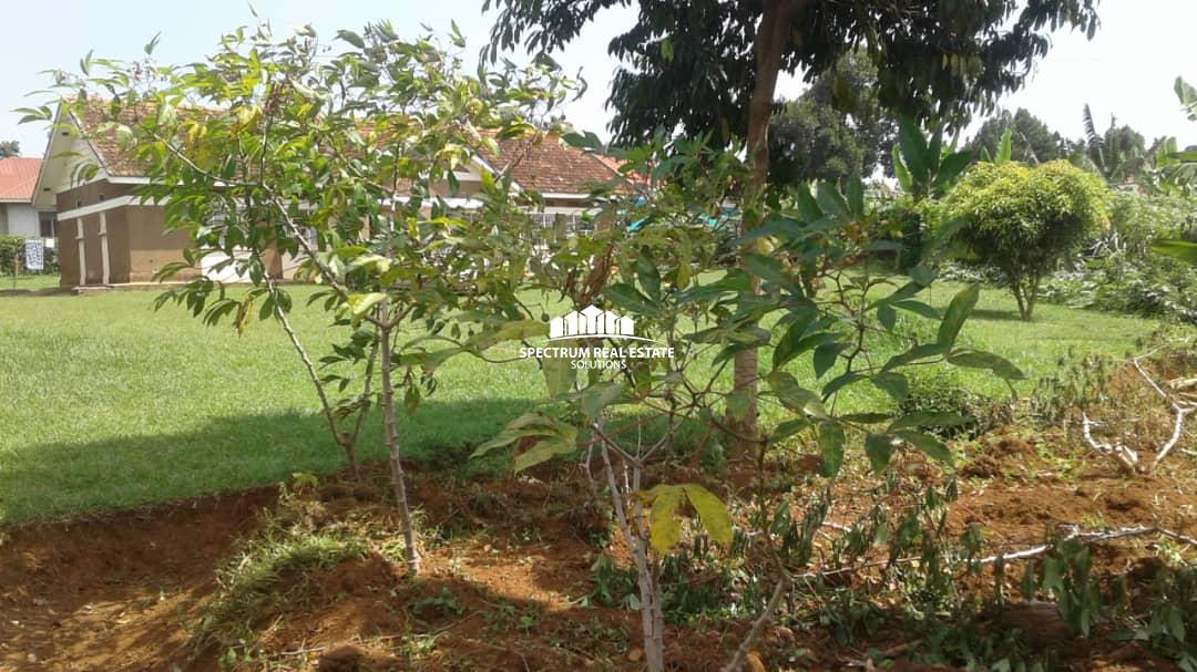 This land for sale in Entebbe  Kampala