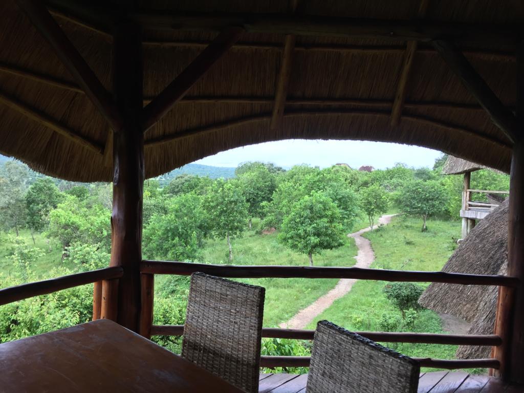 safari lodge for sale in Lake Mburo Mbarara District
