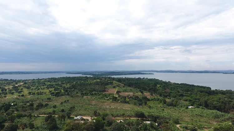 LAND ACT IN UGANDA